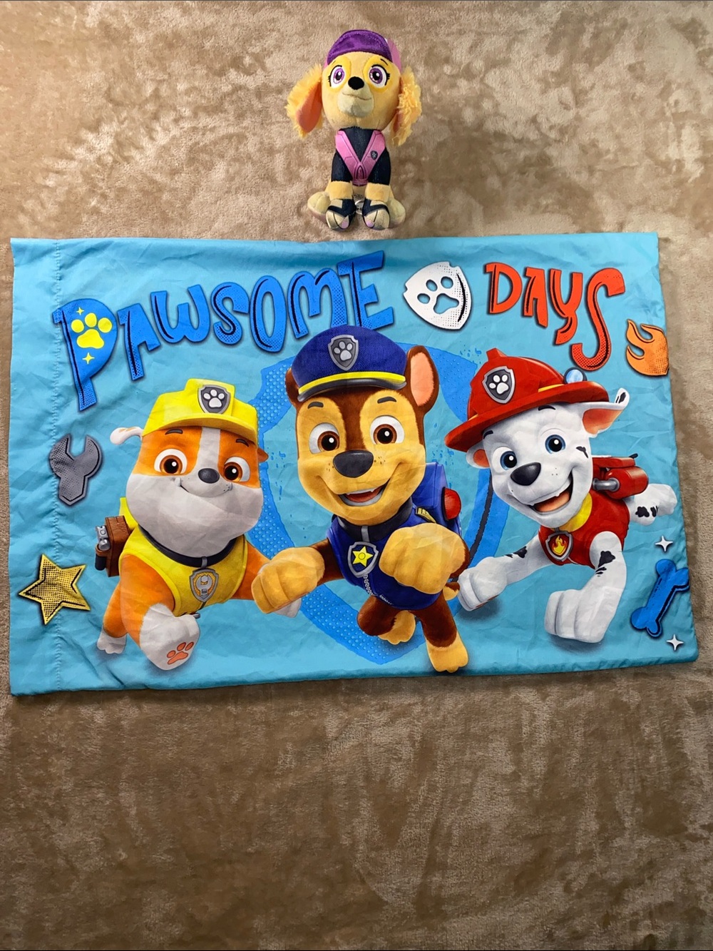 Paw Patrol Kids Blue Character pillow case and plush